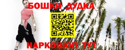 индика Беслан