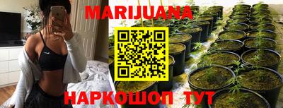 индика Беслан