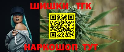 индика Беслан