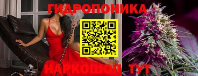 герыч Бийск