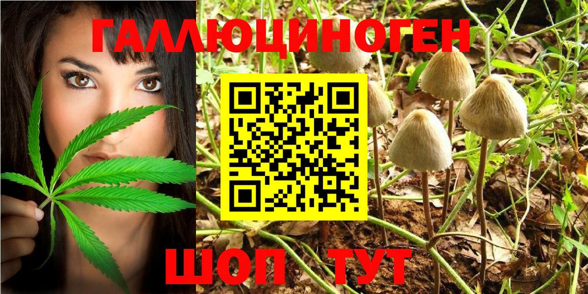 Псилоцибиновые грибы Psilocybine cubensis  купить  сайты  Кемерово  Вход с VPN 