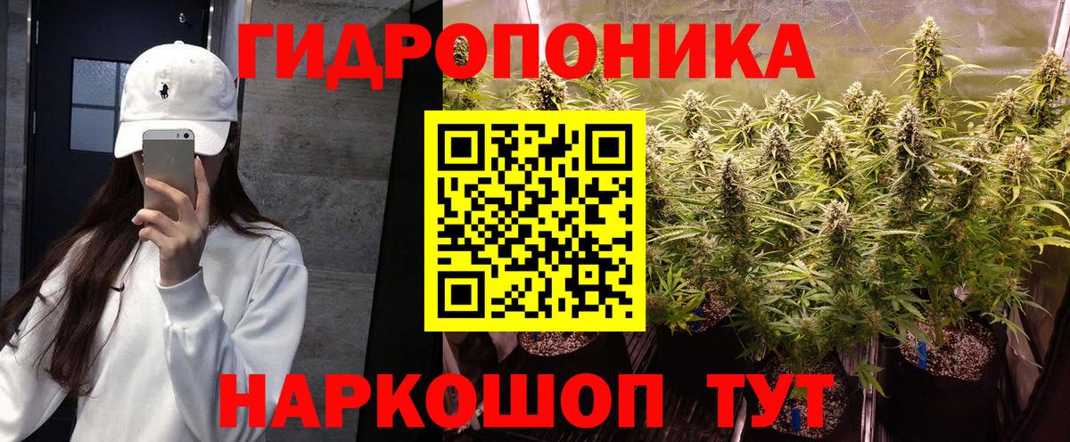 Канабис Amnesia Кемерово